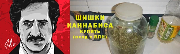 индика Володарск