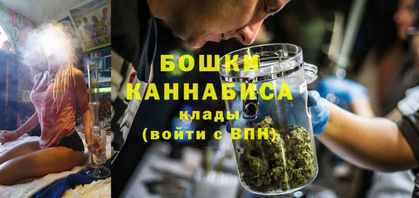 индика Володарск